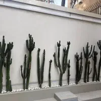 خدمات باغبانی باغچه گلدون وهرسکاری سم پاشی وکود هی