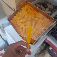 انواع نبات|خوردنی و آشامیدنی|شیراز, تندگویان|دیوار