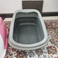 گربه|لوازم جانبی حیوانات|قم, سعادتی|دیوار