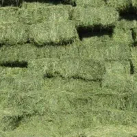 یونجه خشک درجه یک
