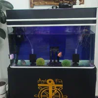 فروش آکواریوم بزرگ|ماهی|خرم‌آباد, |دیوار
