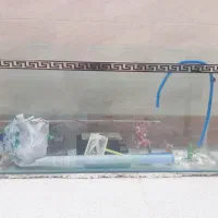 آکواریوم سالم فروشی