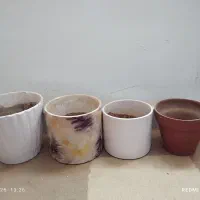 گلدون گیاه