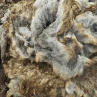 پشم گوسفند درجه یک