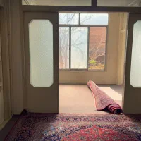 اجاره یا رهن در بافت سنتی|اجارهٔ خانه و ویلا|کاشان, گریه|دیوار