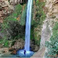 توردوستانه