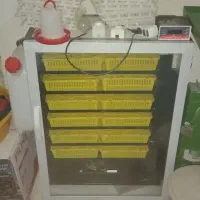 دستگاه جوجه کشی ققنوس ۵۰۴تایی