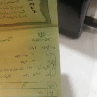 شناسنامه پیدا شده، آیناز  آقاباخوندی