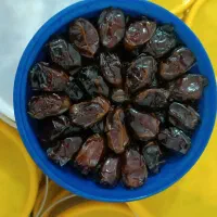 فروش عمده خرمای جنوب