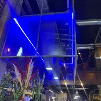 سالنکار و پیک