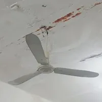 پنکه سقفی