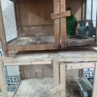 جفت کن کبوتر|لوازم جانبی حیوانات|پاکدشت, شهرک امام رضا|دیوار