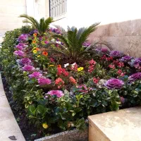 انجام تمامی کارهای باغبانی|خدمات باغبانی و درختکاری|گرگان, |دیوار