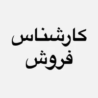 کارشناس فروش حرفه ای