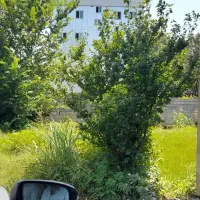 زمین جهت مشارکت/ کوی اساتید