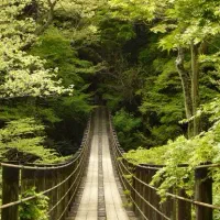 راهنمایی برای تفریح