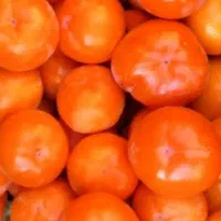 خرمالو درشت و آبدار ژاپنی|خوردنی و آشامیدنی|بافت, |دیوار