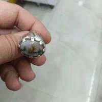 انگشتر شجر|جواهرات|الوند, |دیوار