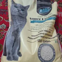 بچه گربه تبی دوماهه باهوش (جای دستشویی بلده)