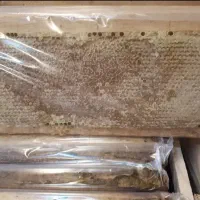 عسل مومدار با قاب ،فقط عمده