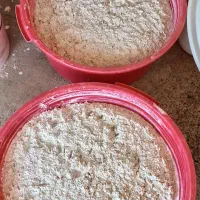 ترخینه گوسفندی|خوردنی و آشامیدنی|باوله, |دیوار