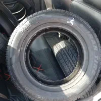 لاستیک پراید|قطعات یدکی و لوازم جانبی|قدس, شهرقدس|دیوار