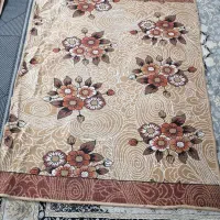 پادری در حد نو