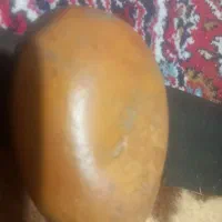 فروش سنگ راف