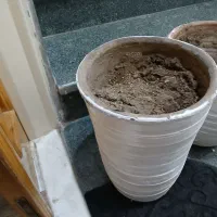 گلدان|گل و گیاه طبیعی|اصفهان, شاهزاده ابراهیم|دیوار