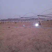 اجرای گلخانه از صفر تا صد