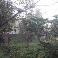 ویلادوبلکس روستایی سرسبز جاده تهران سراوان سندار.|فروش خانه و ویلا|رشت, سعدی (تختی)|دیوار