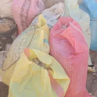 تعداد 8تا10تا‌ کود کبوتر