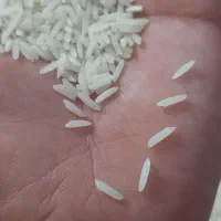 برنج هاشمی درجه یک گیلان آستانه اشرفیه|خوردنی و آشامیدنی|آستانه اشرفیه, |دیوار