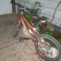 2عدد دوچرخه