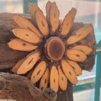 آینه دست ساز|آینه|ورامین, خورین|دیوار