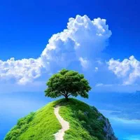 اجاره-مغازه-200-متری-سوپرلوکس