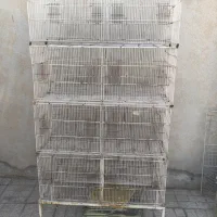 قفس ۸ خوان پران ماده جدا کن