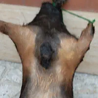 هیزه جای روغن نو|ظروف نگهدارنده، پلاستیکی، یکبارمصرف|بروجرد, |دیوار