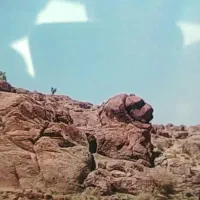 (*راهنمایی*)|فعالیت داوطلبانه|کرج, گلشهر|دیوار