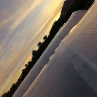 گلخانه|خدمات پیشه و مهارت|یاسوج, |دیوار