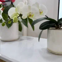 استخدام نیروی خانم جهت کار منزل و پرستاری کودک