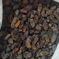 کشمش اعلا بیدانه|خوردنی و آشامیدنی|محمدیه-قزوین, |دیوار