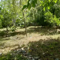 خانه سنتی|فروش خانه و ویلا|رودبنه, |دیوار