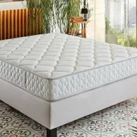 تشک ترکیه با متد روز دنیا