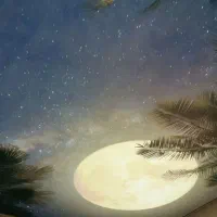 سقف کشسان کاذب قرنیز دیوارپوش پارکت نمایی چوب