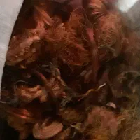 تحقیقات مس و الومینیوم و ...|فعالیت داوطلبانه تحقیقاتی|اردبیل, |دیوار