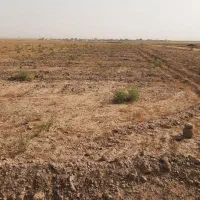 ۱۲۳۰متر زمین کشاورزی از اراضی کاریزک تربت‌جام