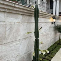 فورلکس نما انگلیسی 1000 متری/اسانسور/سنددار|فروش خانه و ویلا|رویان, |دیوار