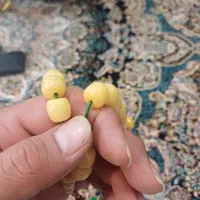 تسبیح سندلوس قدیمی استخوانی قدمت بالای ۸۰سال