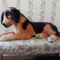 اسباب بازی موزیکال|اسباب‌‌بازی|سهند, |دیوار